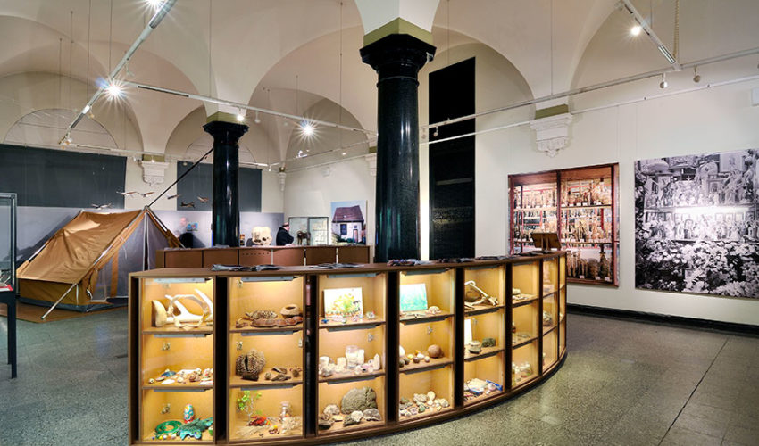 Naturkundemuseum – Raum der Fossilien